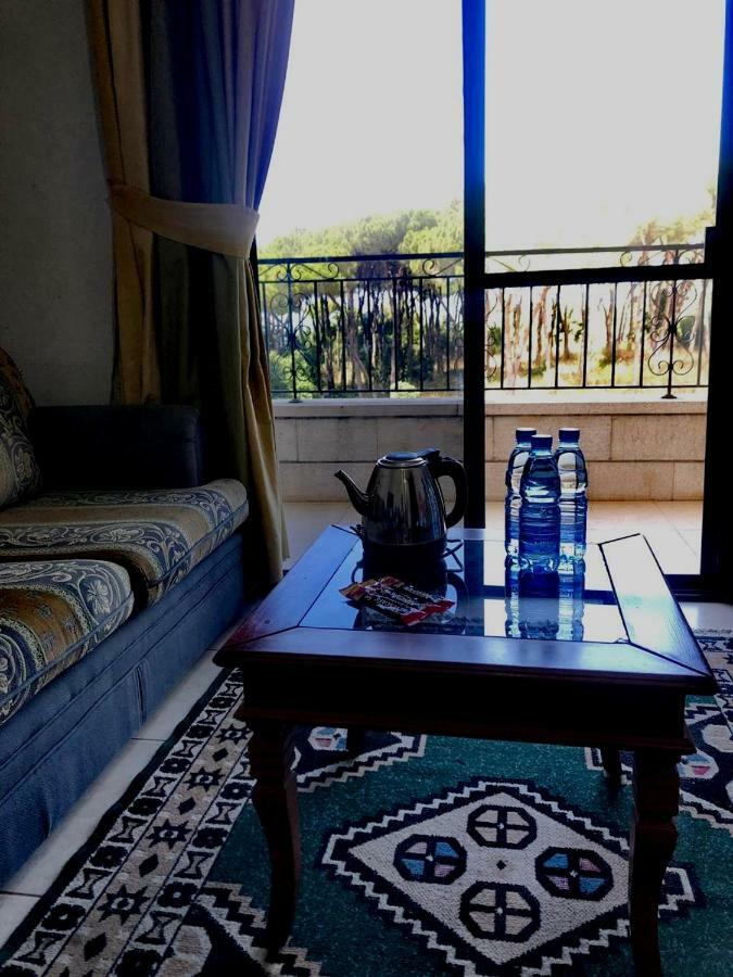 Dynasty Suite Aley Luaran gambar
